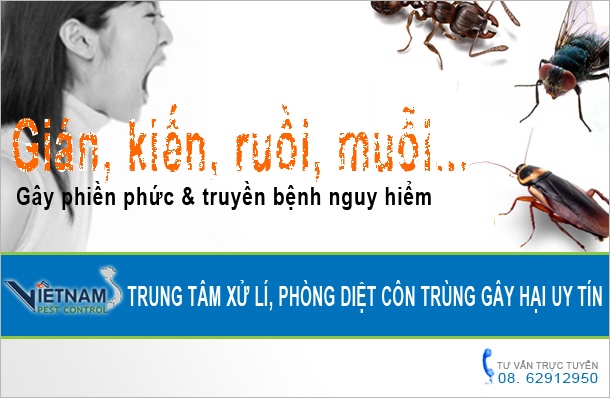 Diệt côn trùng – Dịch vụ diệt côn trùng – Công ty diệt côn trùng Việt Nam – Giới thiệu website hay