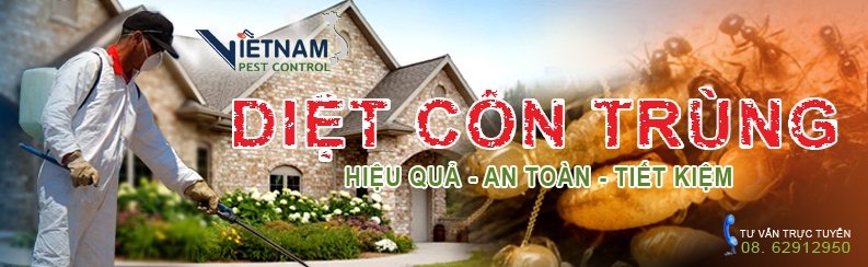Diệt côn trùng – Diệt mối, Diệt muỗi, Diệt gián, Diệt kiến, Dịch vụ diệt côn trùng – Giới thiệu website hay