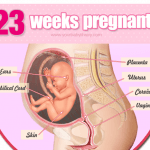 5 nguyên tắc vàng chị em cần phải biết khi mang thai tuần 23