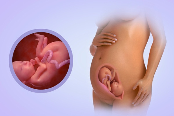 Cơ thể mẹ có những thay đổi trong tuần thai 25