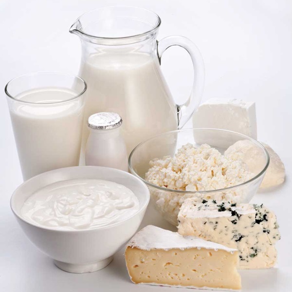 Sữa và các sản phẩm từ sữa luôn có hàm lượng canxi cao