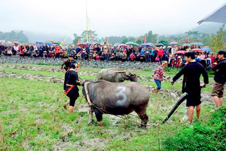 Lễ hội xuống đồng ở Bản Hồ