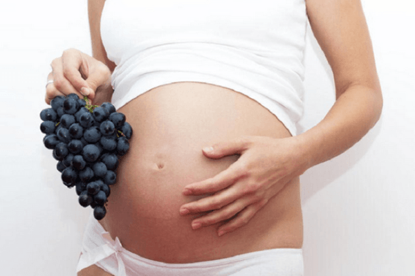 7 loại trái cây giàu canxi cực tốt cho bà bầu mẹ không nên bỏ qua