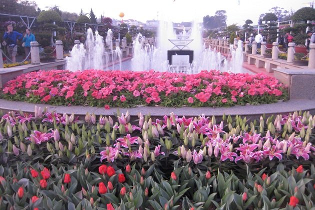 Vườn hoa thành phố Đà Lạt – Linh hồn của xứ sở ngàn hoa